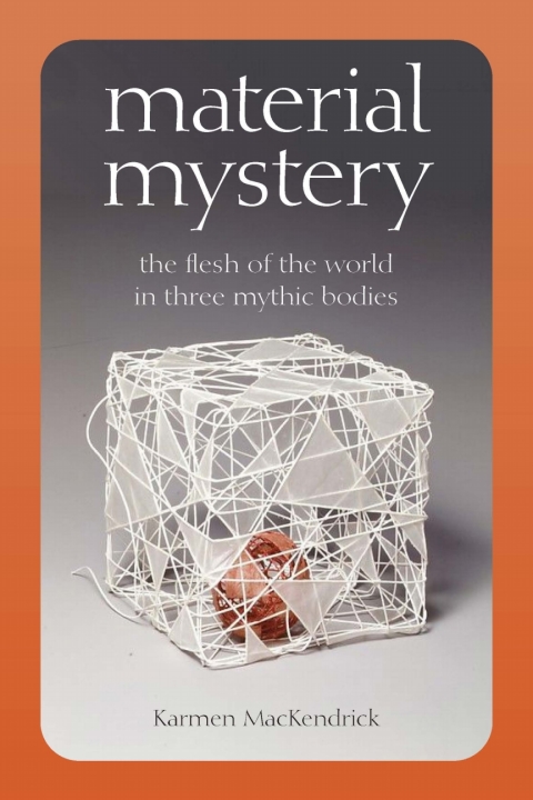 Cover image for book Material Mystery