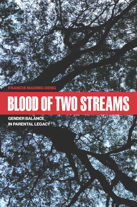 Cover image for book Blood of Two Streams
