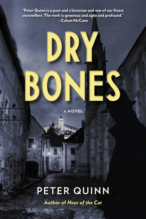 Cover image for book Dry Bones