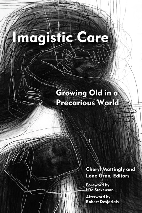 Cover image for book Imagistic Care
