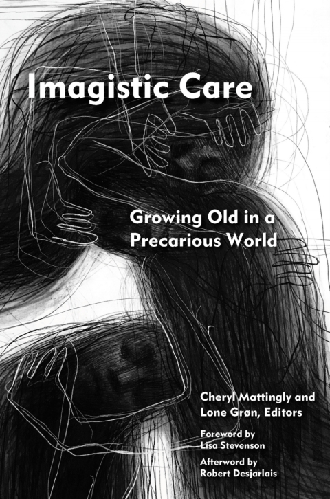 Cover image for book Imagistic Care