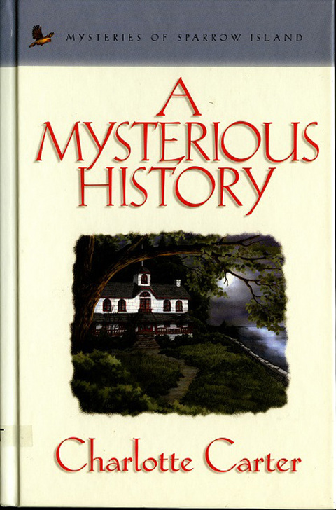 Cover image for book A Mysterious History