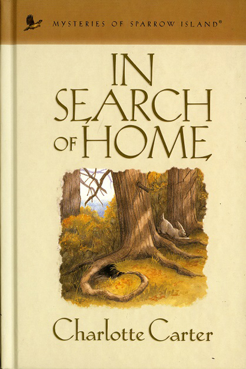 Cover image for book In Search of Home