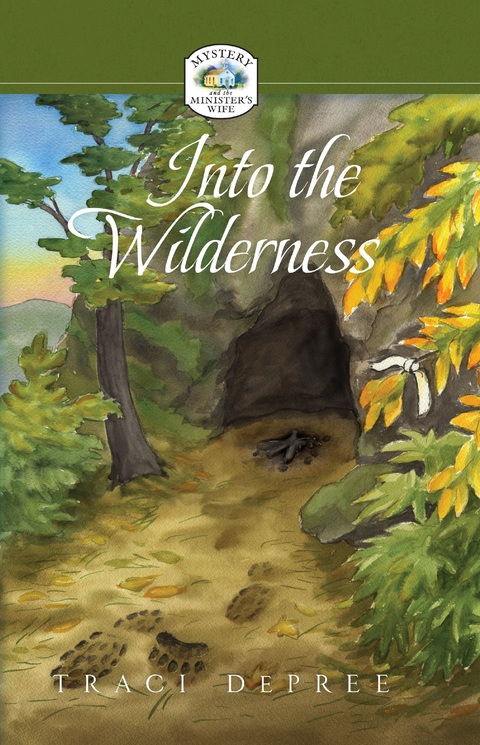 Cover image for book Into the Wilderness