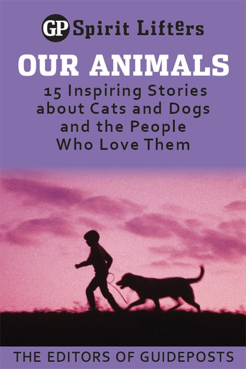 Cover image for book Our Animals