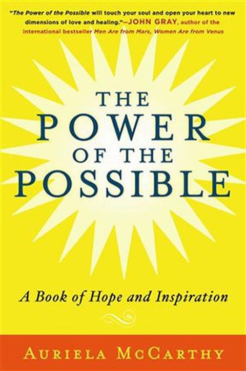 Cover image for book The Power of the Possible