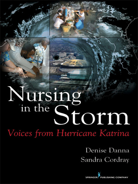 Cover image for book Nursing in the Storm