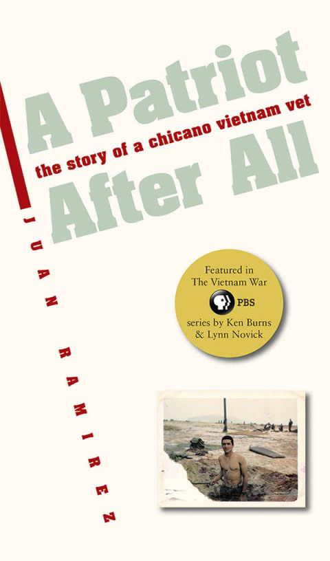 Cover image for book A Patriot After All