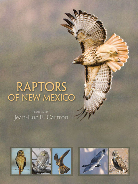 Cover image for book Raptors of New Mexico