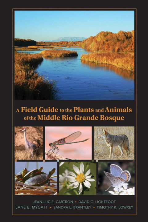 Cover image for book A Field Guide to the Plants and Animals of the Middle Rio Grande Bosque