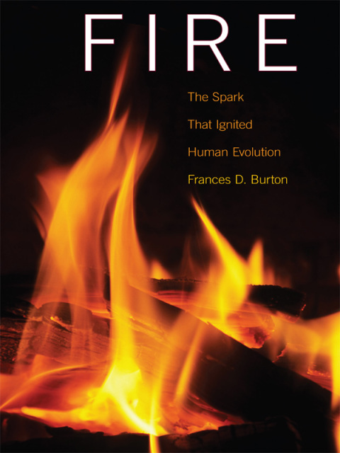 Cover image for book Fire