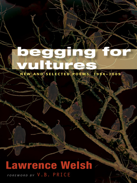 Cover image for book Begging for Vultures