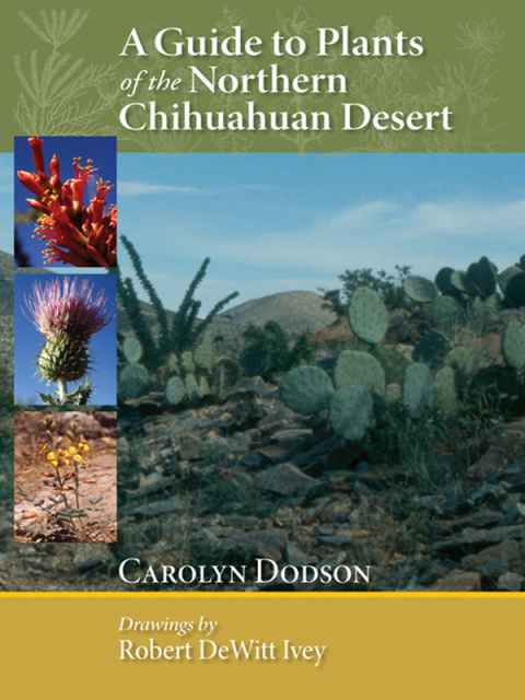 Cover image for book A Guide to Plants of the Northern Chihuahuan Desert