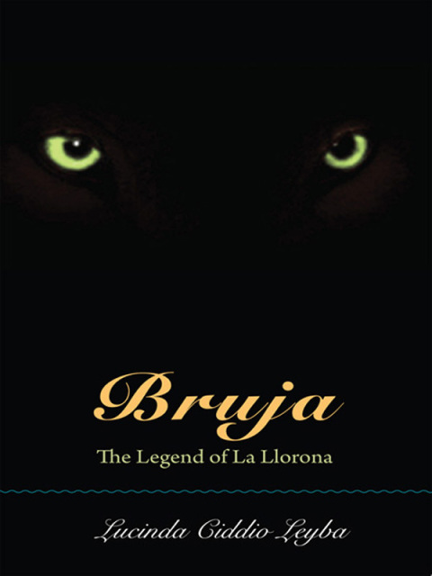 Cover image for book Bruja