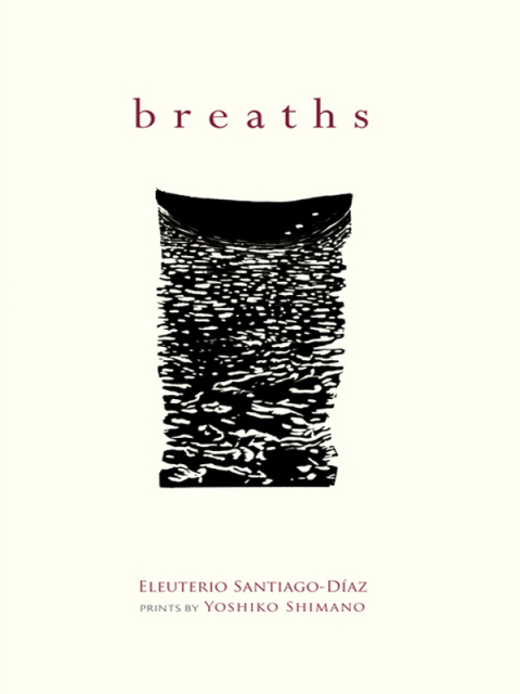 Cover image for book Breaths