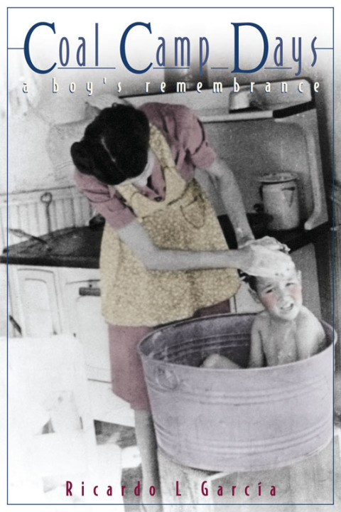 Cover image for book Coal Camp Days