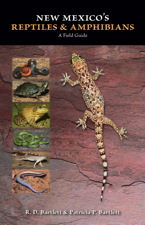 Cover image for book New Mexico's Reptiles and Amphibians