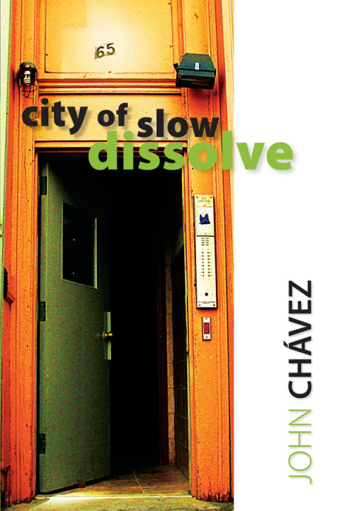 Cover image for book City of Slow Dissolve