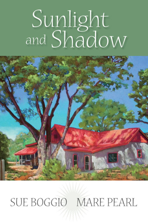 Cover image for book Sunlight and Shadow