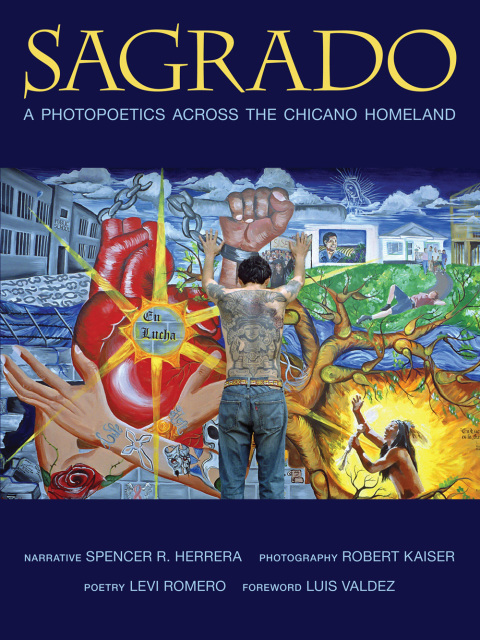 Cover image for book Sagrado