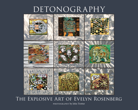 Cover image for book Detonography