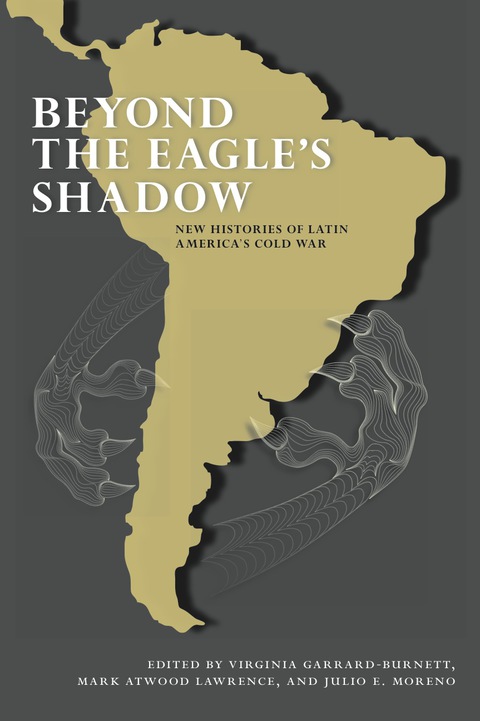 Cover image for book Beyond the Eagle's Shadow