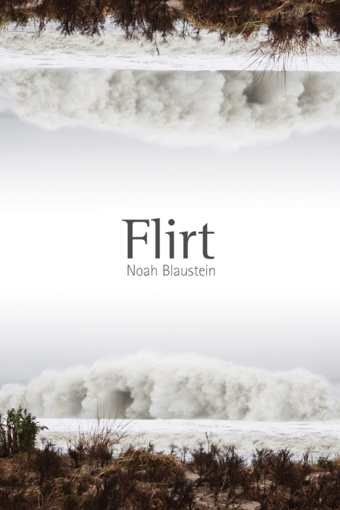 Cover image for book Flirt