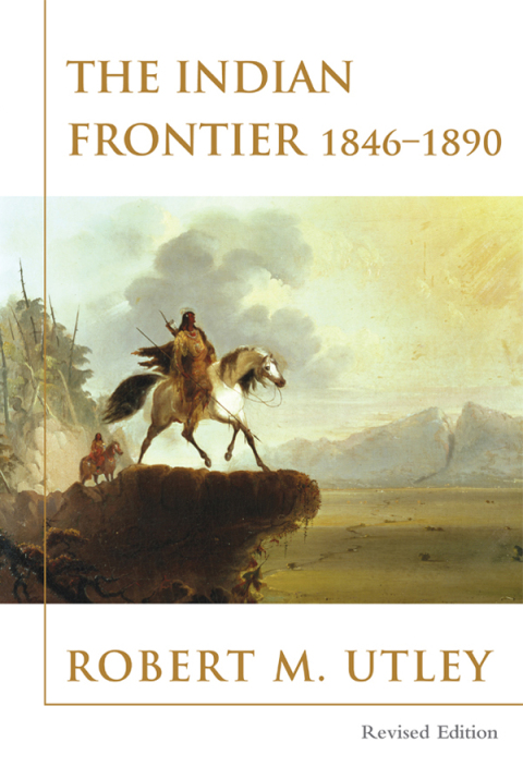 Cover image for book The Indian Frontier 1846-1890