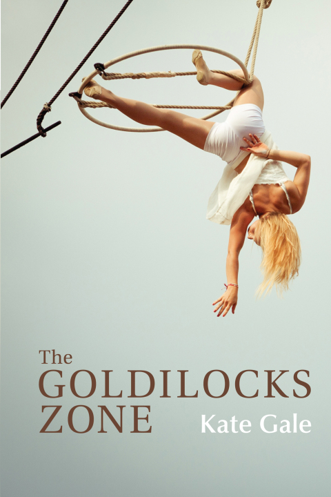 Cover image for book The Goldilocks Zone