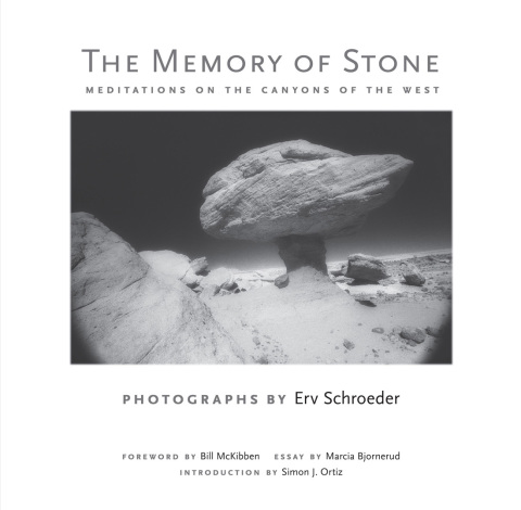 Cover image for book The Memory of Stone