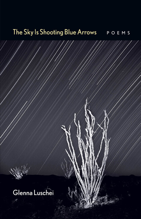 Cover image for book The Sky Is Shooting Blue Arrows