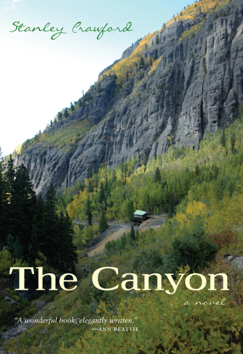 Cover image for book The Canyon