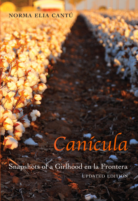 Cover image for book Canícula