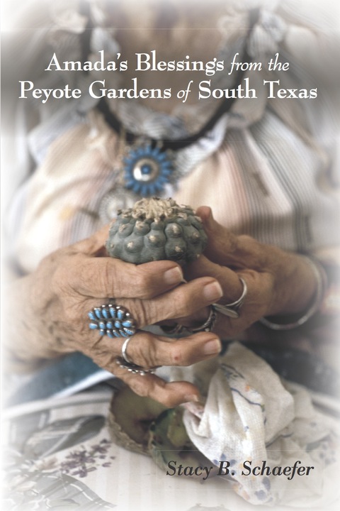 Cover image for book Amada's Blessings from the Peyote Gardens of South Texas