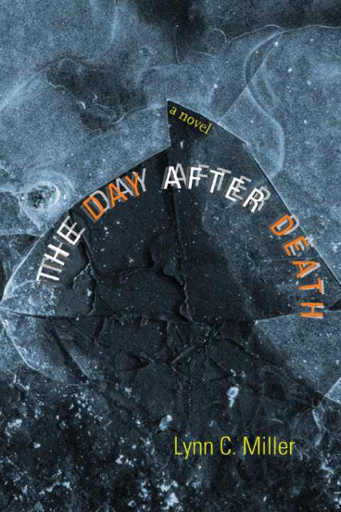 Cover image for book The Day after Death