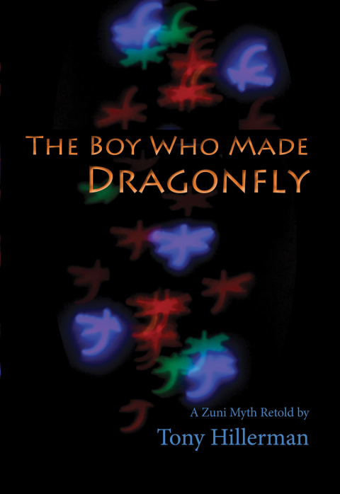 Cover image for book The Boy Who Made Dragonfly