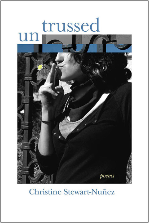 Cover image for book Untrussed
