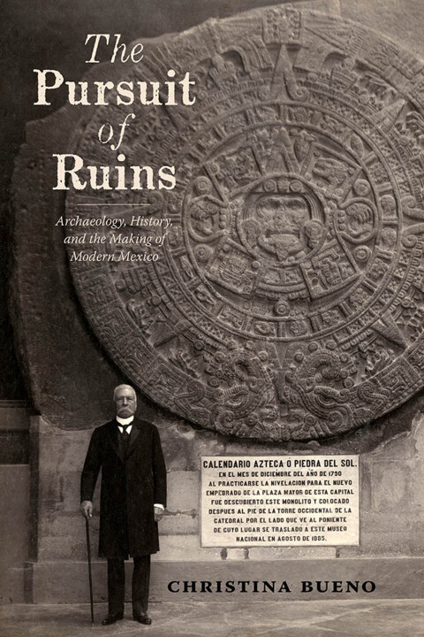 Cover image for book The Pursuit of Ruins