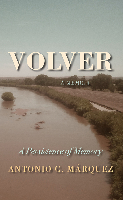 Cover image for book Volver