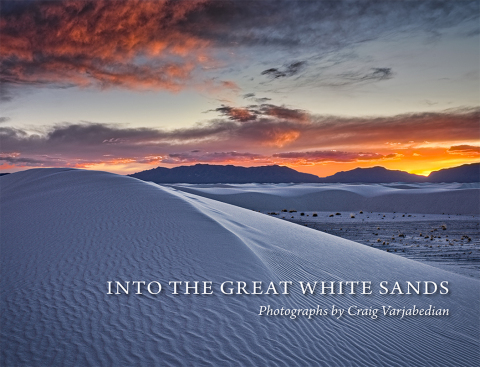 Cover image for book Into the Great White Sands