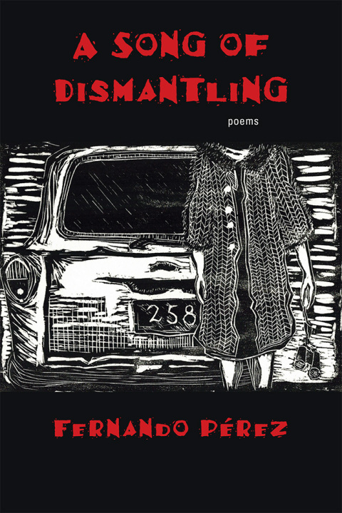Cover image for book A Song of Dismantling