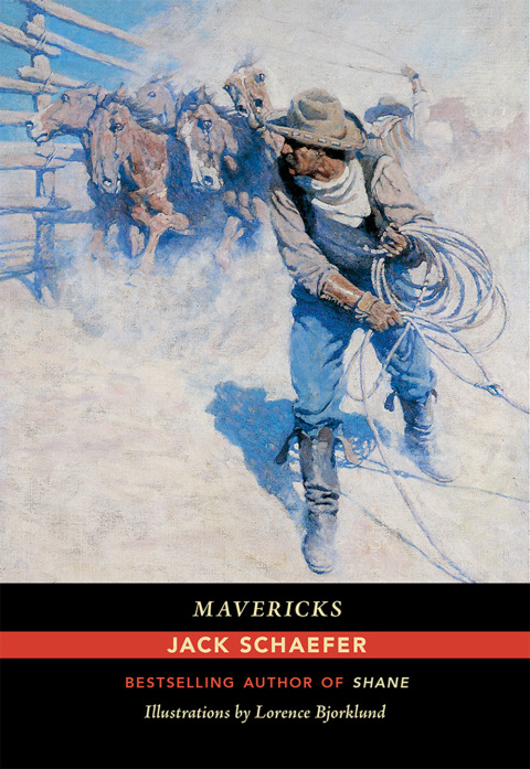 Cover image for book Mavericks