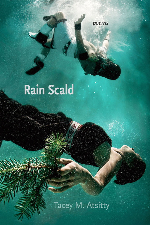 Cover image for book Rain Scald