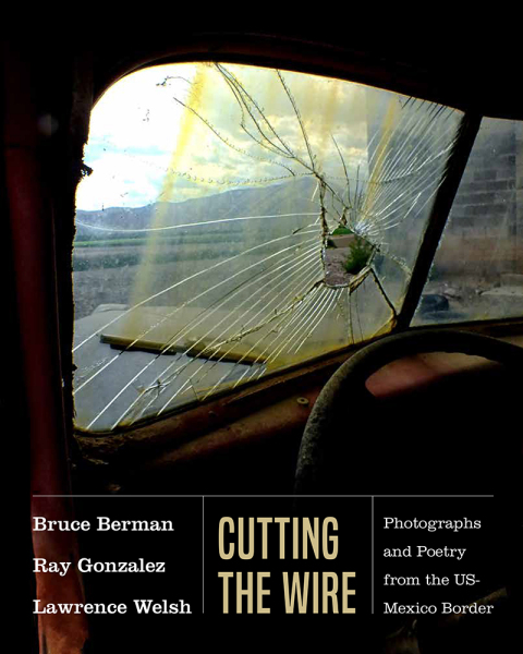 Cover image for book Cutting the Wire