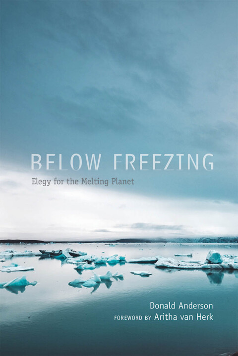 Cover image for book Below Freezing