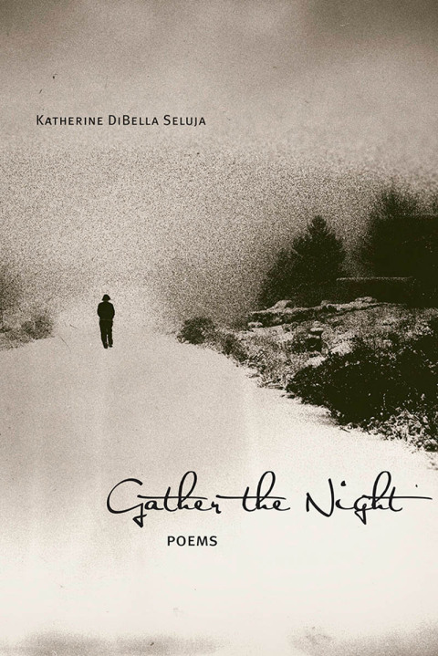 Cover image for book Gather the Night