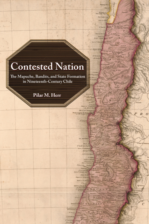 Cover image for book Contested Nation
