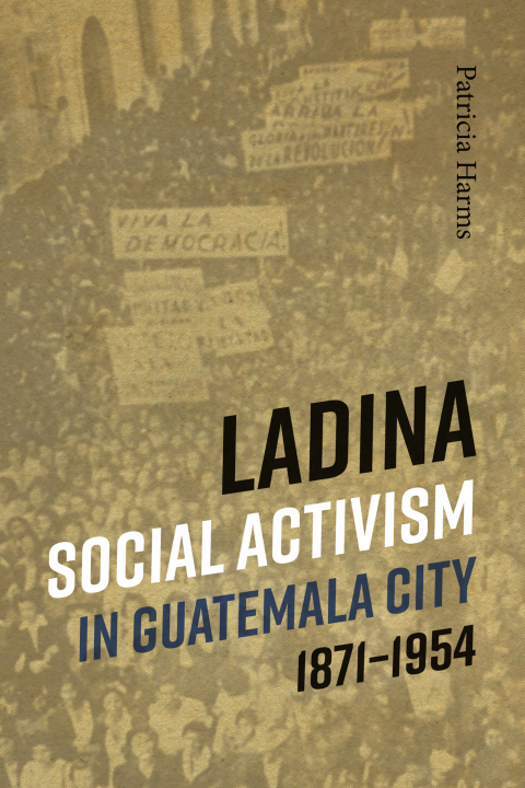 Cover image for book Ladina Social Activism in Guatemala City, 1871-1954