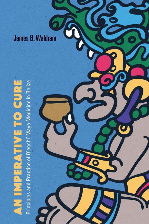 Cover image for book An Imperative to Cure