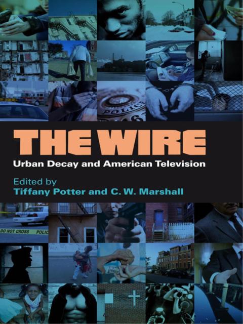 Cover image for book The Wire